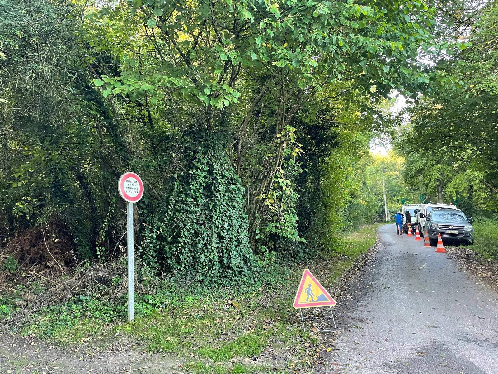 Chemin de gravier bordé d'arbres denses, avec des voitures garées, la signalisation et un panneau d'avertissement en bord de route.
