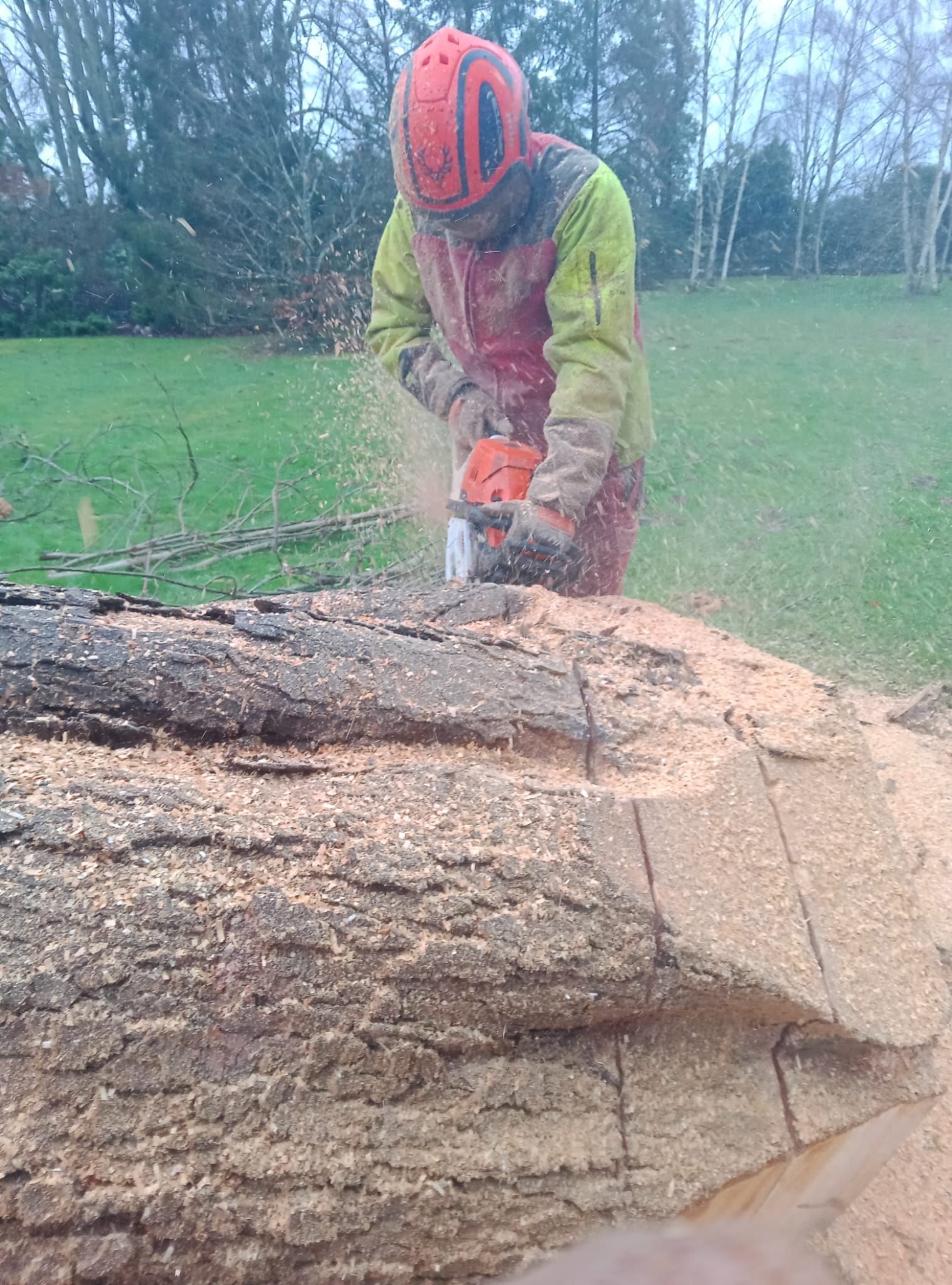 Une personne portant un casque rouge et une veste verte utilise une tronçonneuse pour couper un gros tronc d'arbre tombé à l'extérieur.