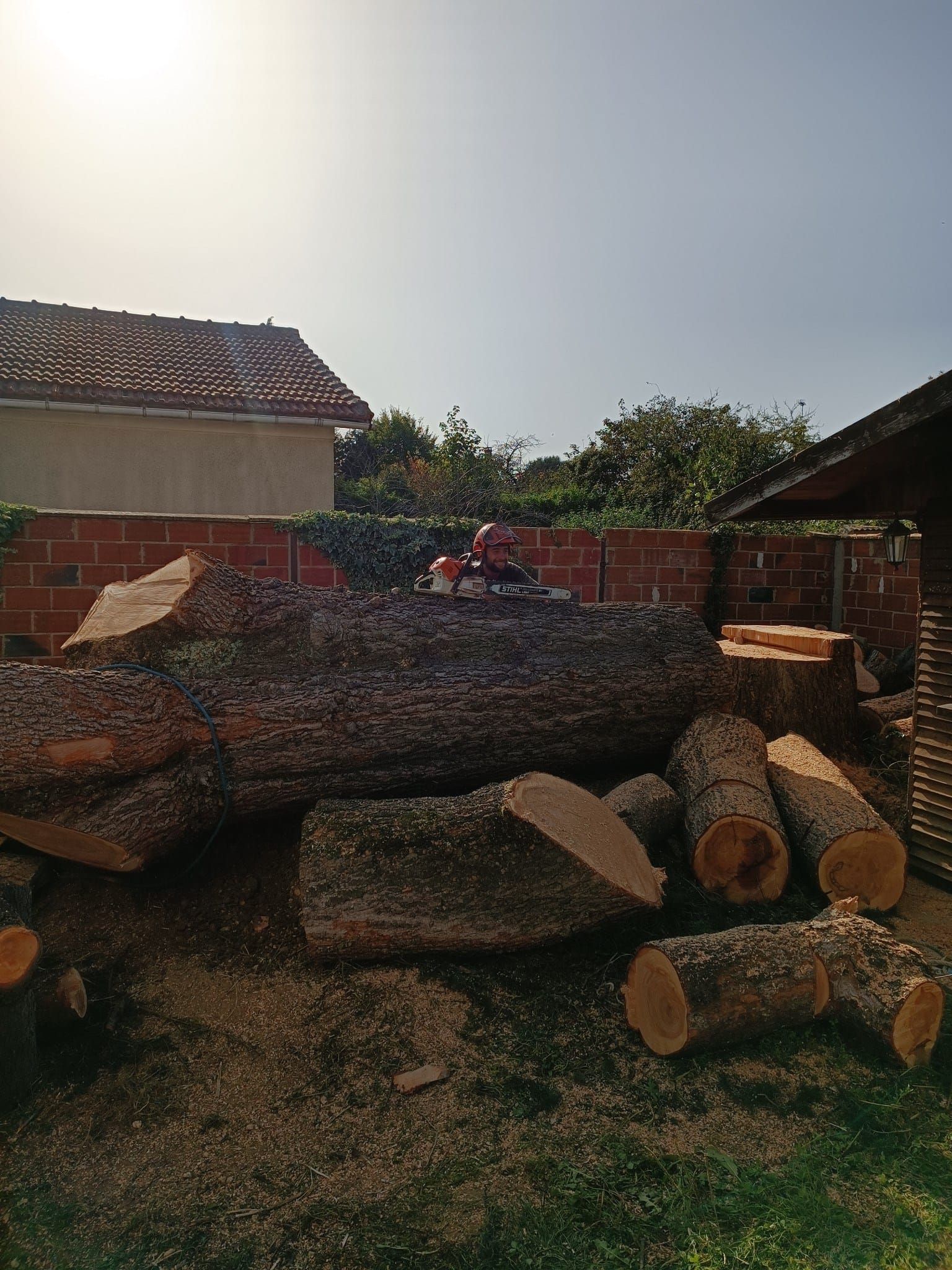 Un tas de bûches et de branches coupées, empilées dans une cour près d'un mur de briques et d'une maison, baignées par le soleil éclatant.