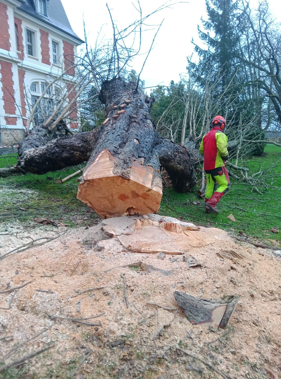 Un tronc d'arbre tombé à côté d'un bâtiment en briques rouges, avec un ouvrier en veste rouge et pantalon vert à proximité.