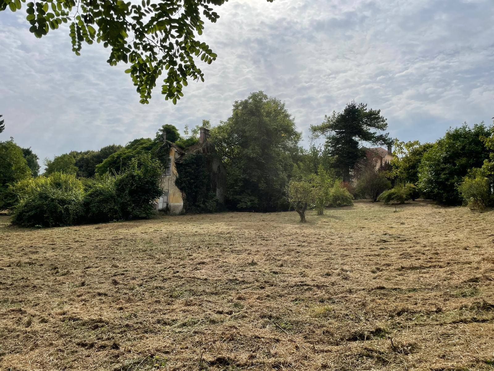 Champ herbeux et sec, parsemé d'arbres et d'arbustes, sous un ciel nuageux, avec des branches feuillues encadrant le coin supérieur gauche.