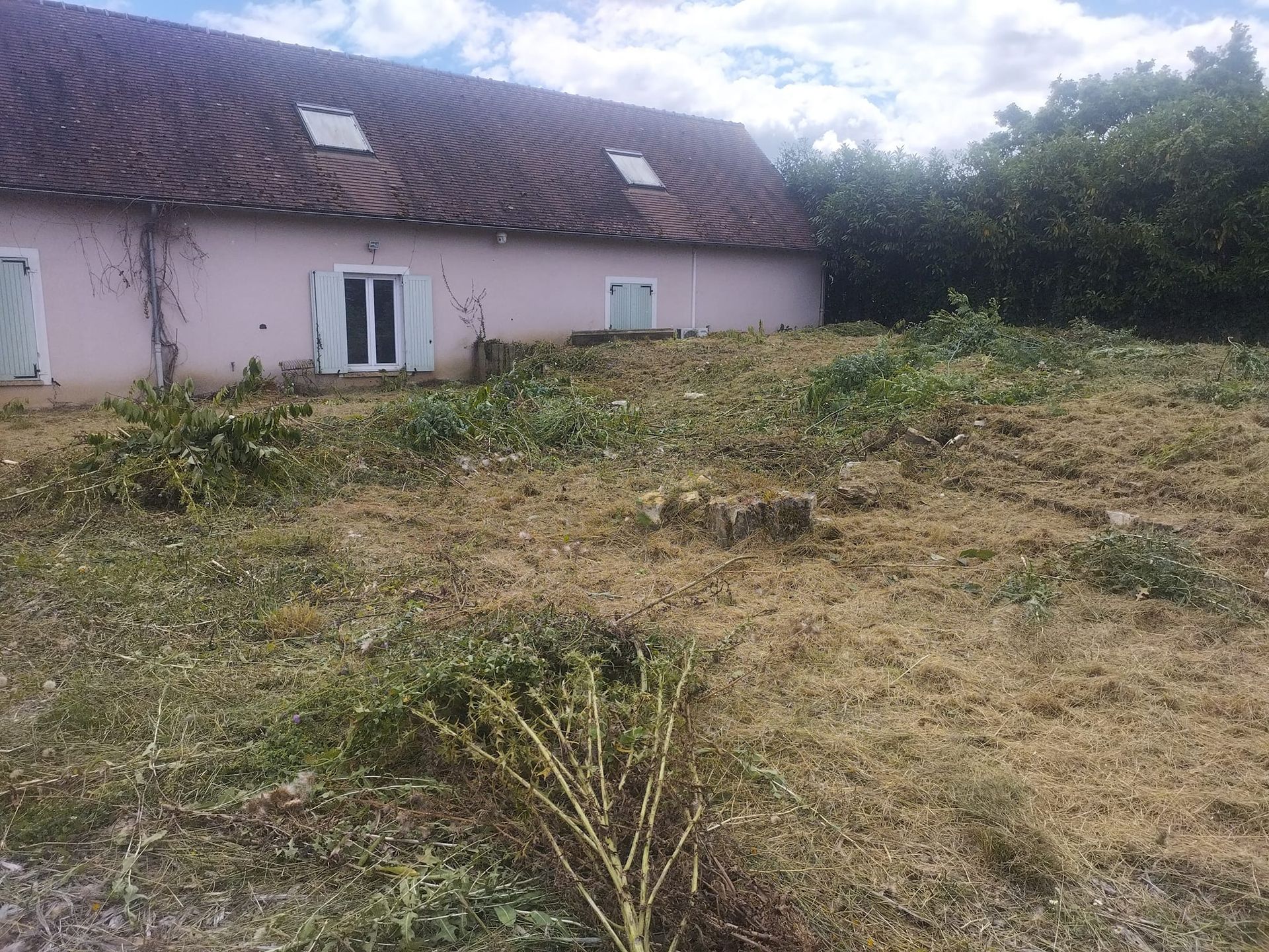 Cour envahie par la végétation à côté d'une maison rose au toit de tuiles et aux portes et fenêtres blanches.