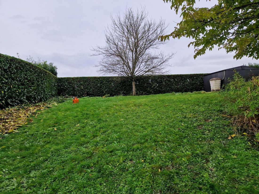 Cour arrière herbeuse avec des haies, un arbre sans feuilles et une poubelle à roulettes sous un ciel nuageux.