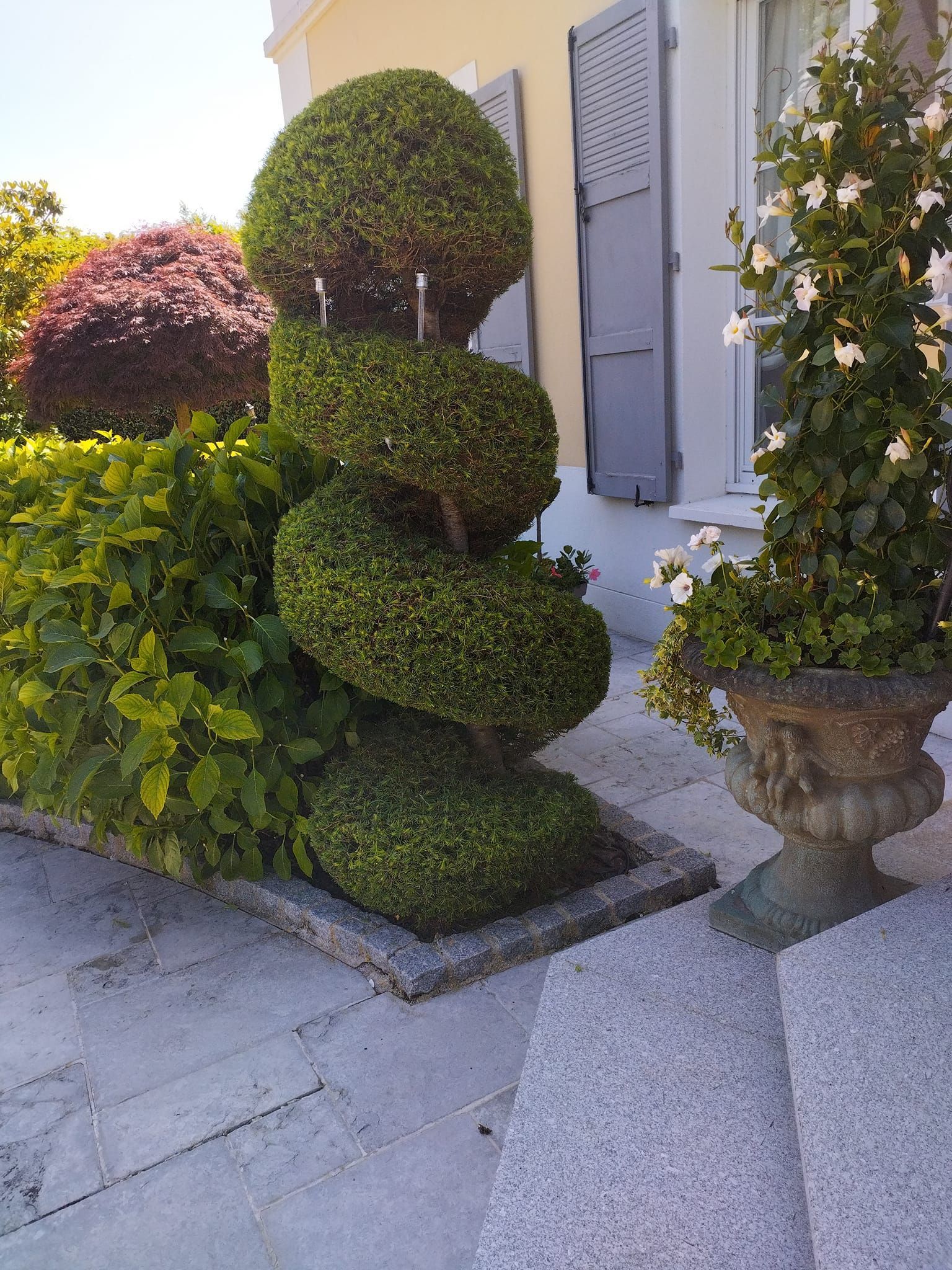Arbustes topiaires et fleurs en pot près d'une façade de maison ensoleillée.
