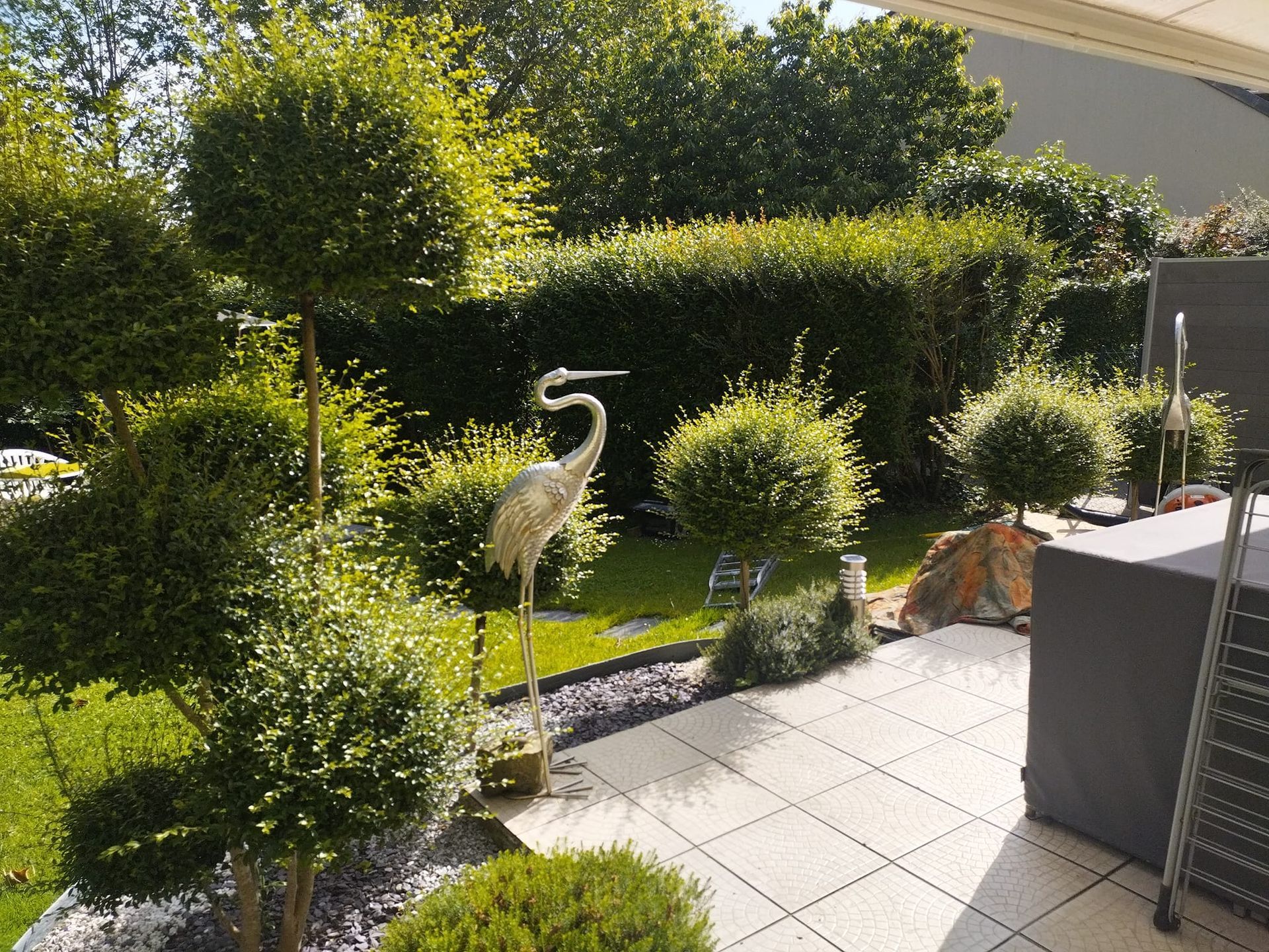 Terrasse arrière avec une statue d'oiseau blanc, des haies taillées et des plantes en pot baignées de soleil.