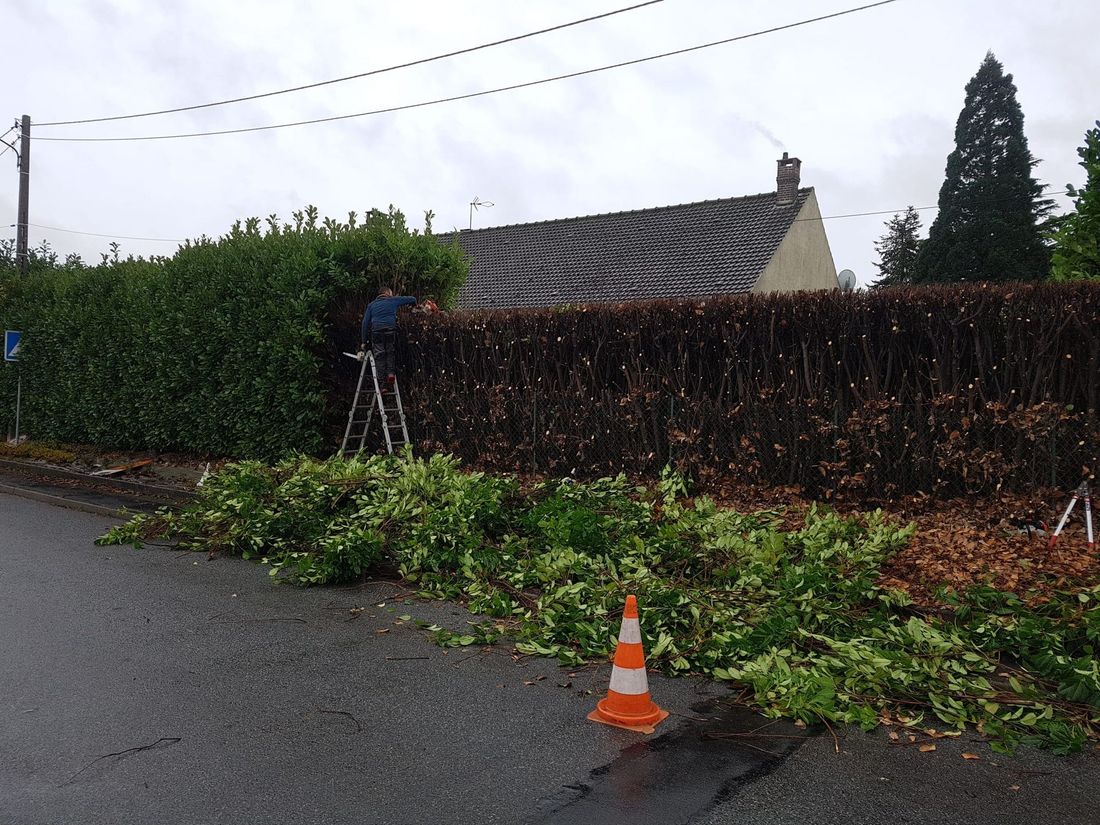 Une personne taille une haie au bord d'une route mouillée, avec des branches tombées et un cône de signalisation orange à proximité.