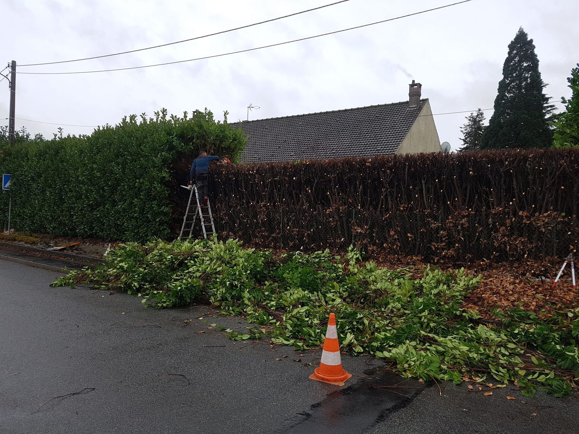 Une personne taille une haie au bord d'une route mouillée, avec des branches tombées et un cône de signalisation orange à proximité.
