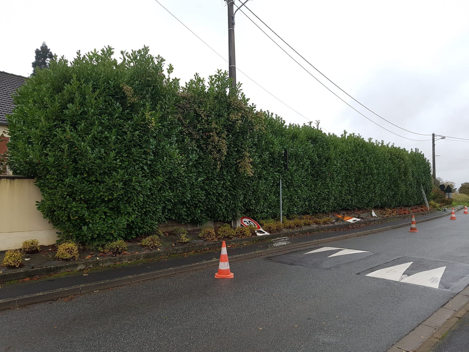Taille des haies en bord de route avec des cônes de signalisation orange le long d'une rue et d'un trottoir mouillés.