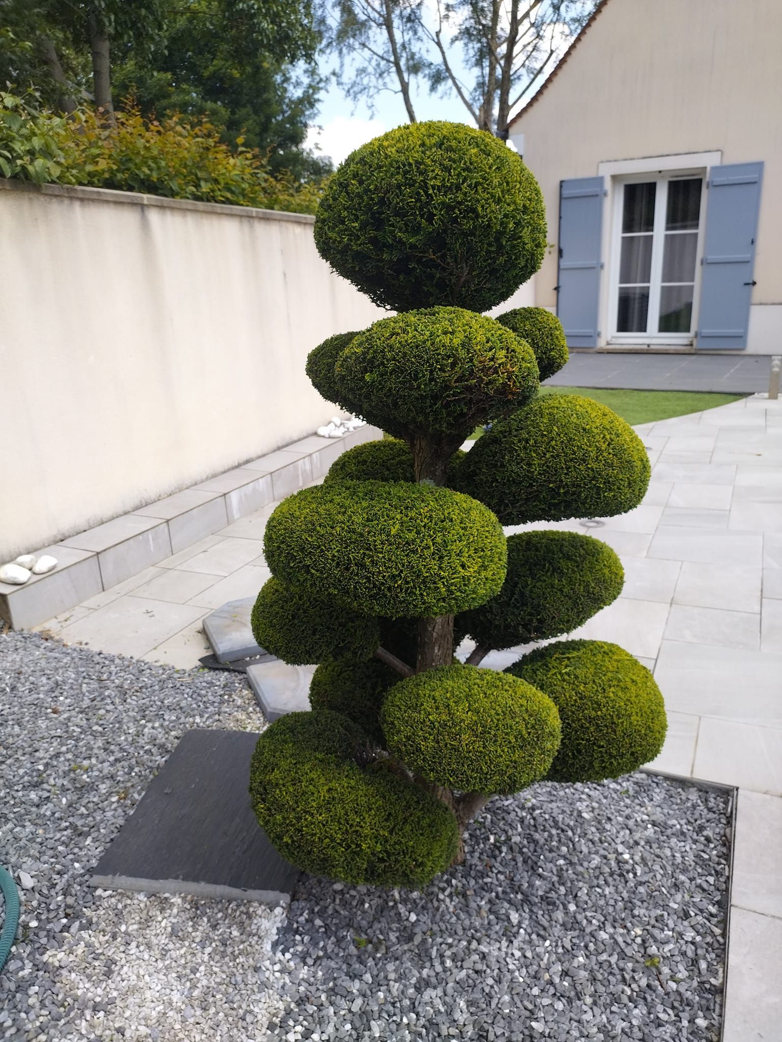 Sculpture topiaire composée d'arbustes verts taillés et empilés dans un jardin, à côté d'un mur blanc et d'une fenêtre de maison.