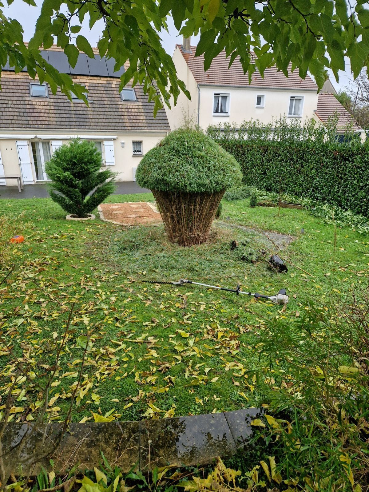 Jardin d'automne avec arbustes taillés, feuilles mortes et maisons en arrière-plan.