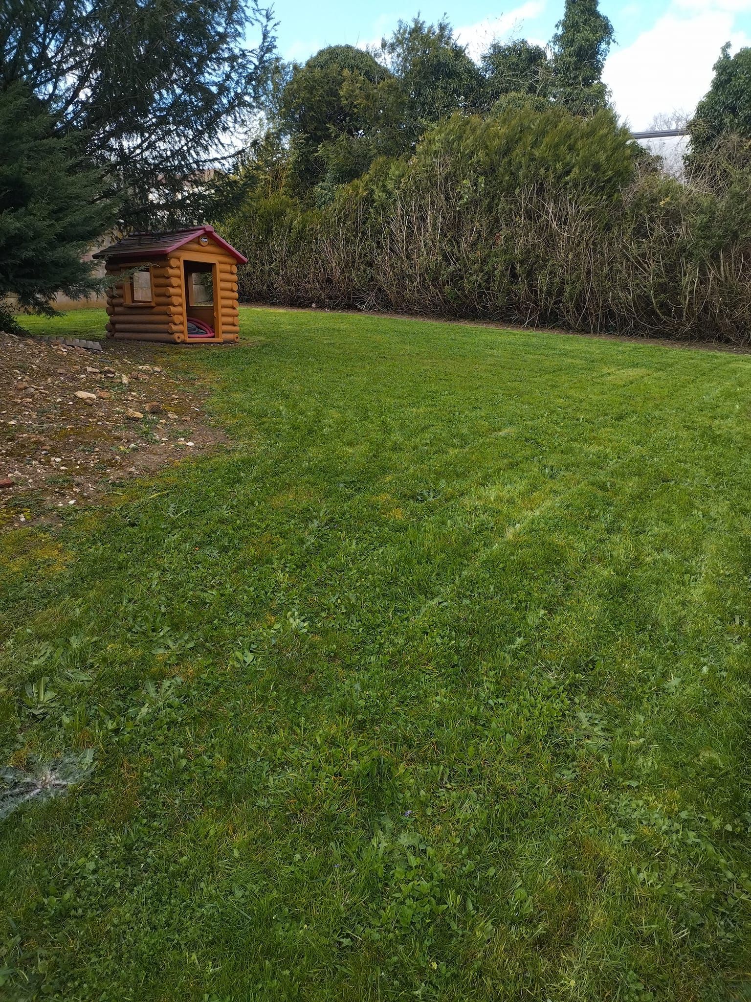 Une petite niche en bois, à côté d'une grande pelouse verte et de haies, dans un jardin.
