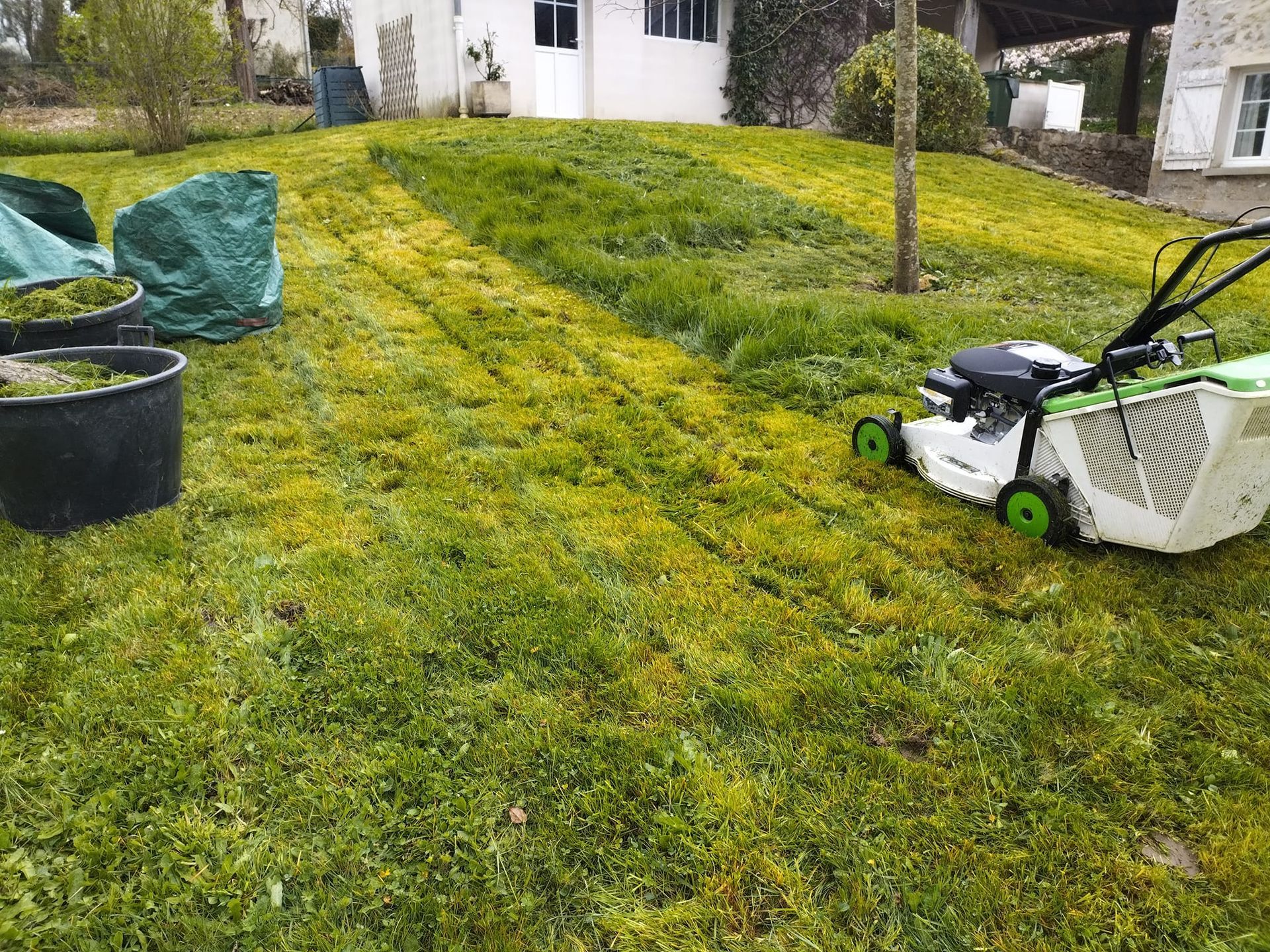 Tondeuse à gazon sur une pelouse près d'une maison, avec une zone rayée indiquant l'herbe fraîchement coupée.