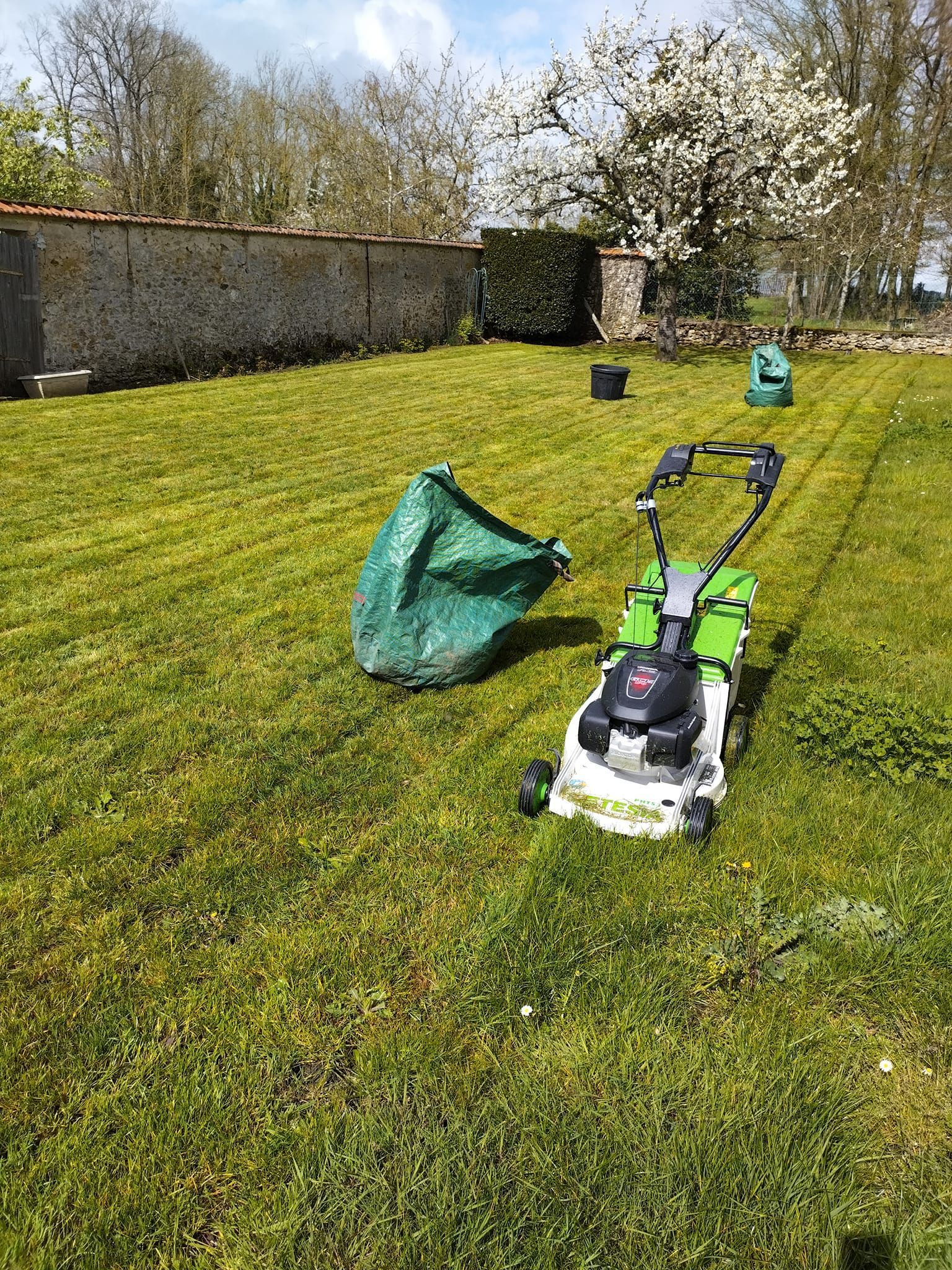 Tondeuse à gazon et sac à déchets verts sur une pelouse ensoleillée, avec un muret en pierre et des arbres en arrière-plan.