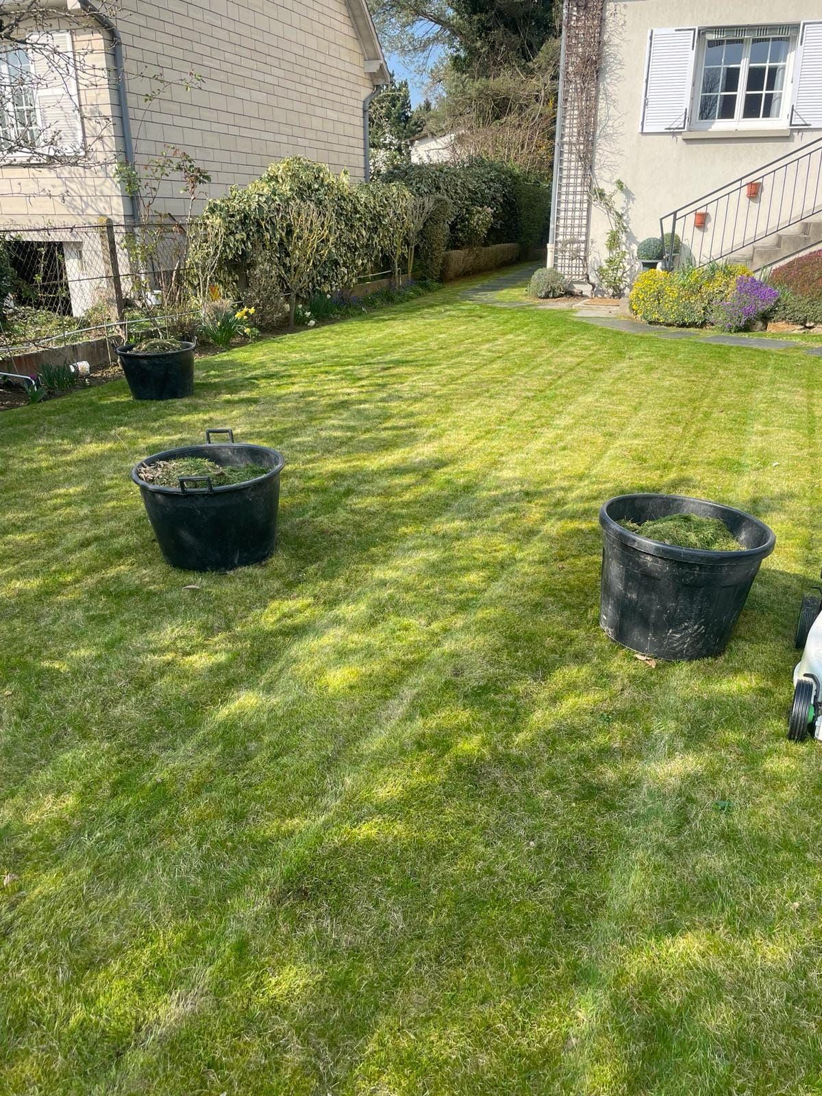 Pelouse ensoleillée à l'arrière avec trois pots de fleurs noirs près d'une maison et de parterres de fleurs.