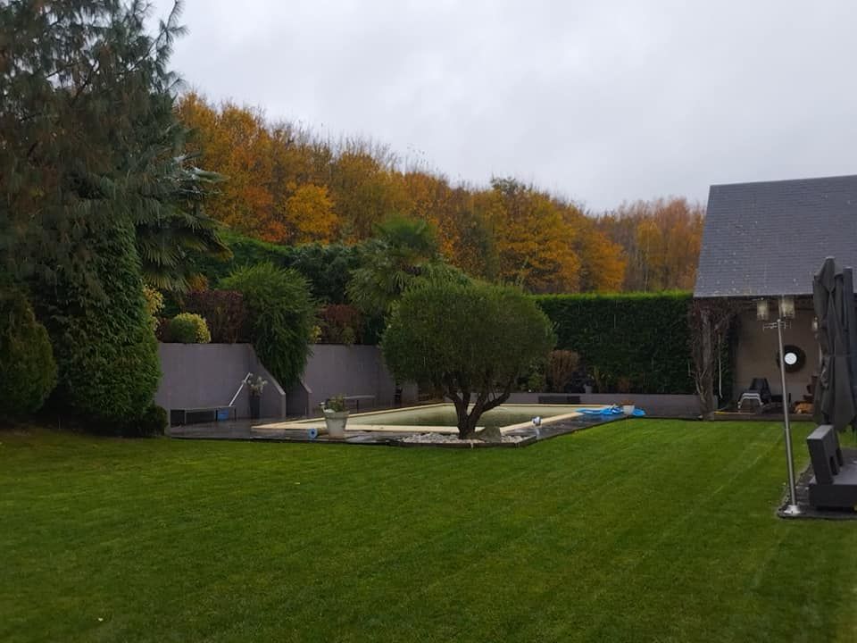 Pelouse arrière soigneusement entretenue avec arbres, haies et une maison sous un ciel couvert.