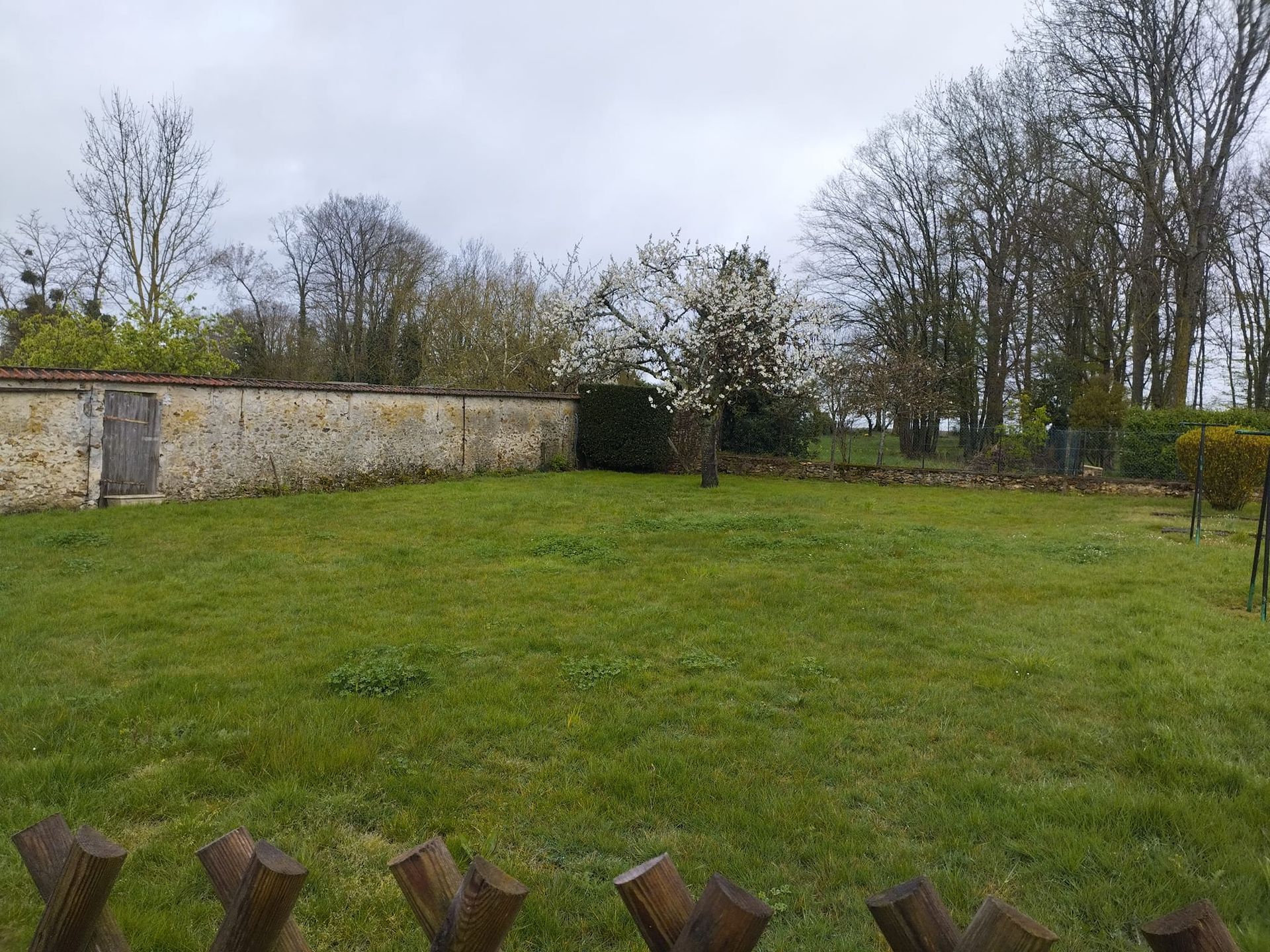 Cour arrière herbeuse avec mur de pierre, arbres dénudés et ciel nuageux.