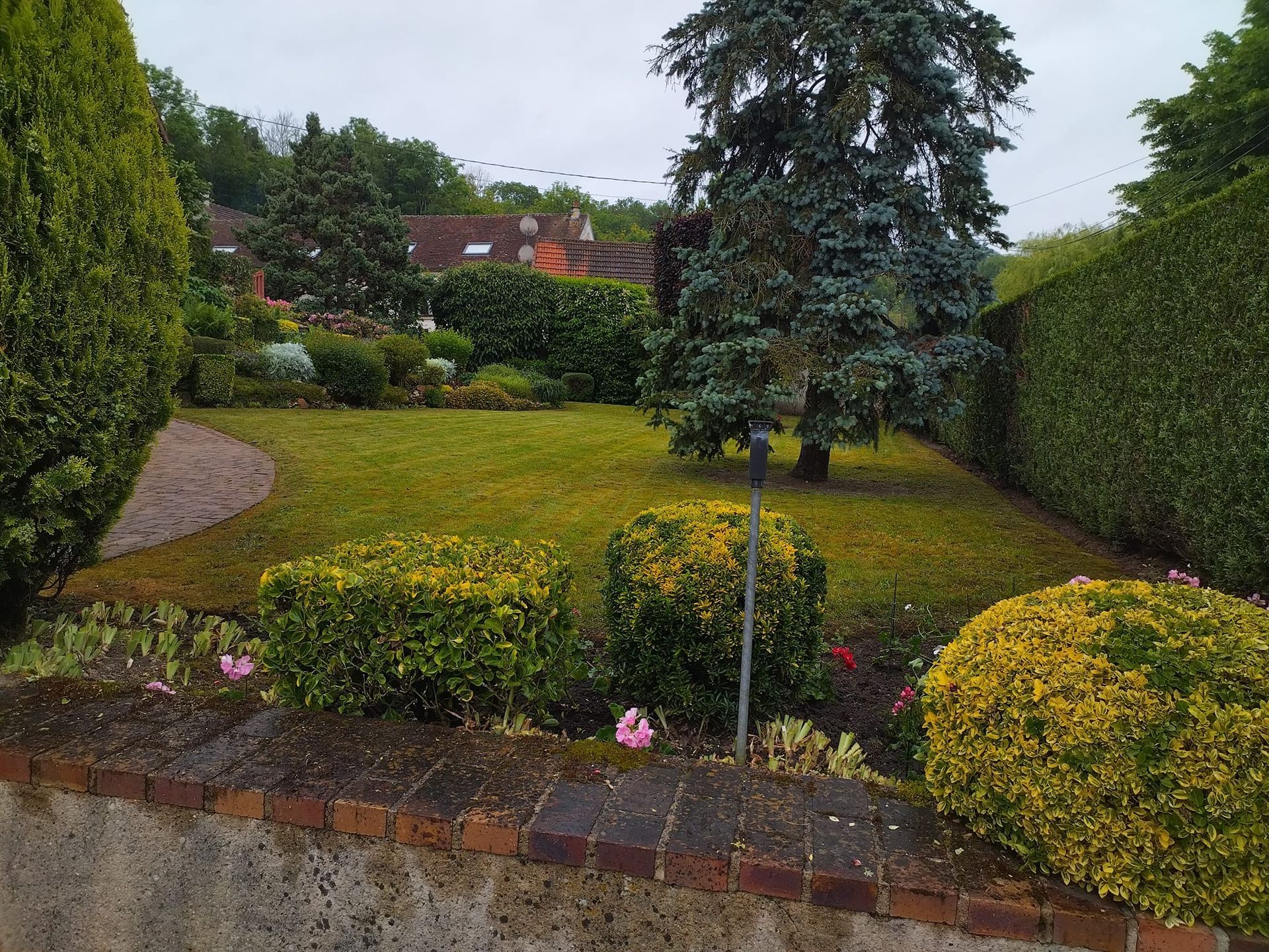 Jardin arrière avec pelouse verte, haies, parterres de fleurs et un grand arbre sous un ciel couvert.