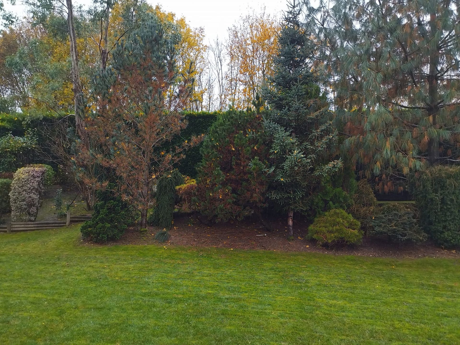 Jardin feuillu avec arbres, arbustes et pelouse verte aux couleurs d'automne.