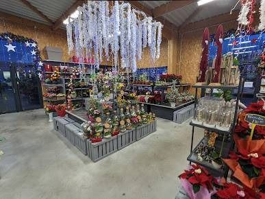 Vitrine de boutique de cadeaux de Noël, avec des décorations, des lumières et des ornements, à l’intérieur d’un magasin