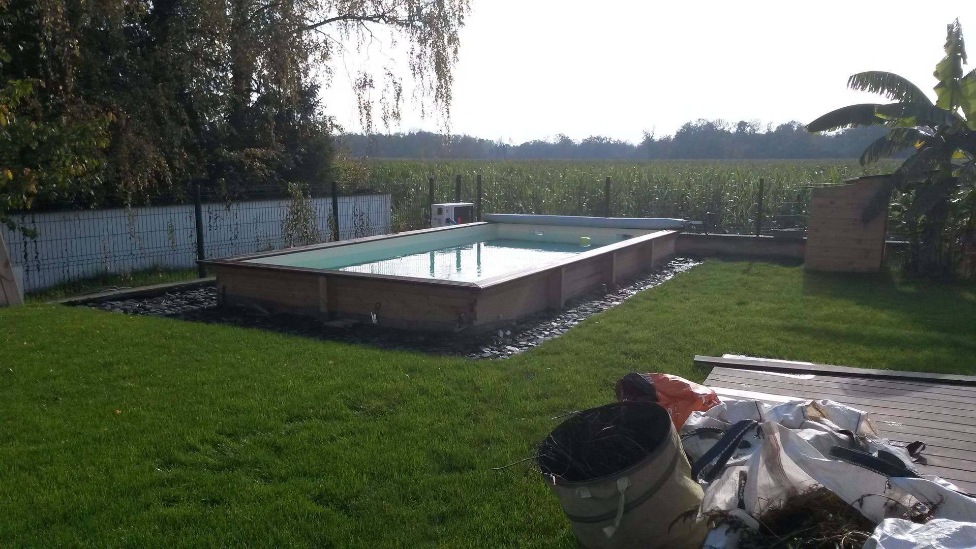 pisicne fond jardin 2