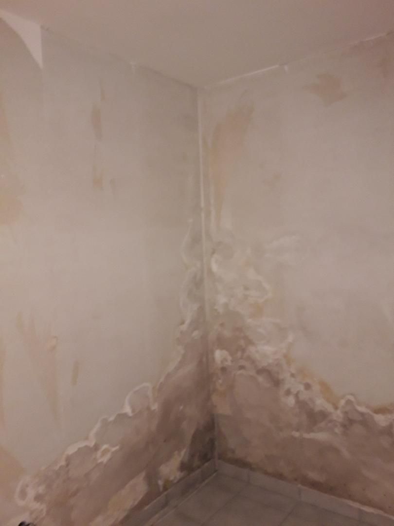 Eine Zimmerecke mit abblätternder Farbe an den Wänden.