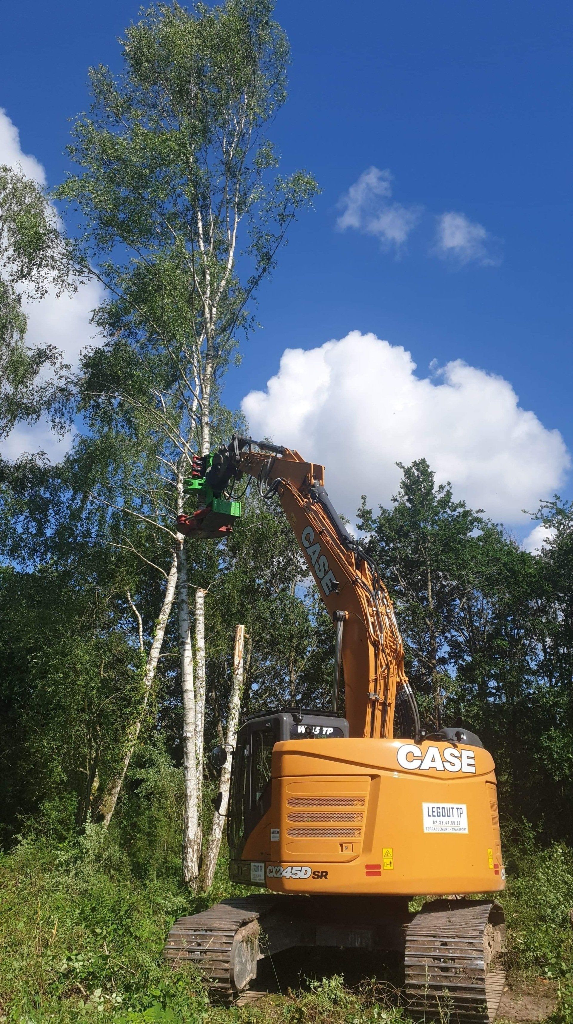 Entretien arbre : élagage, dessouchage