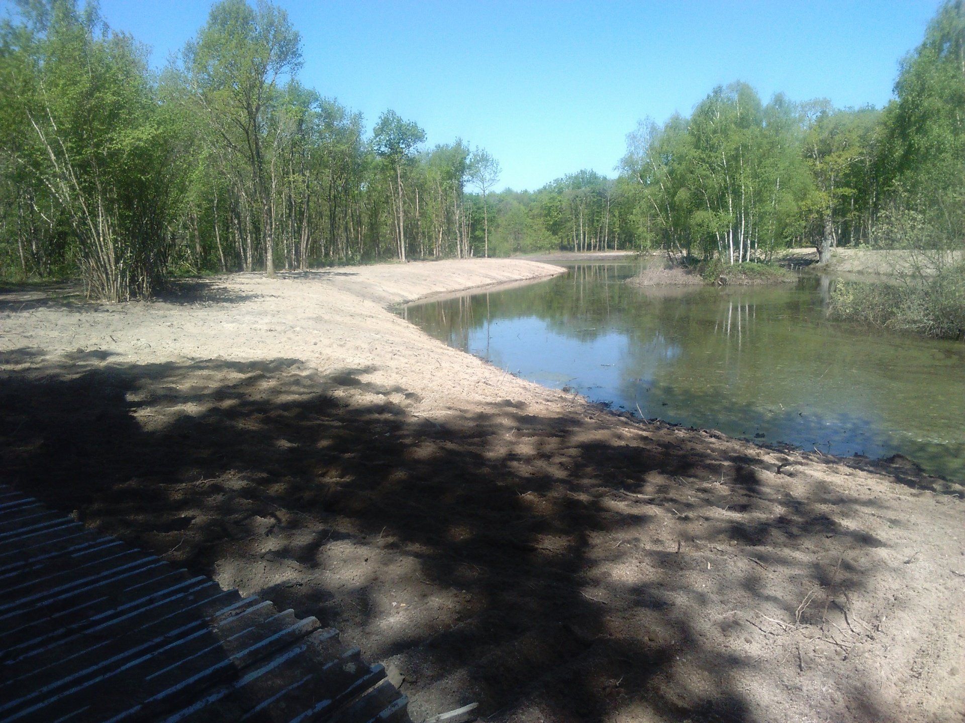 Écosystème plan d'eau