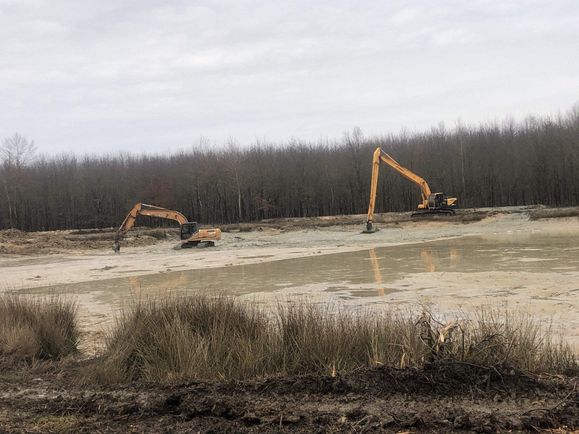 Entretien d'un étang