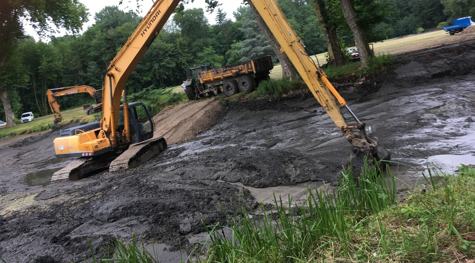 Entretien de zone humide