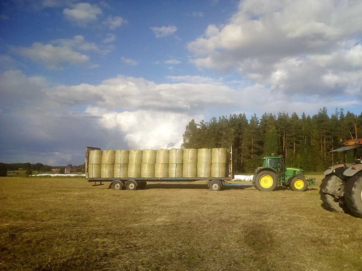 Maansiirtoliike Holma Oy