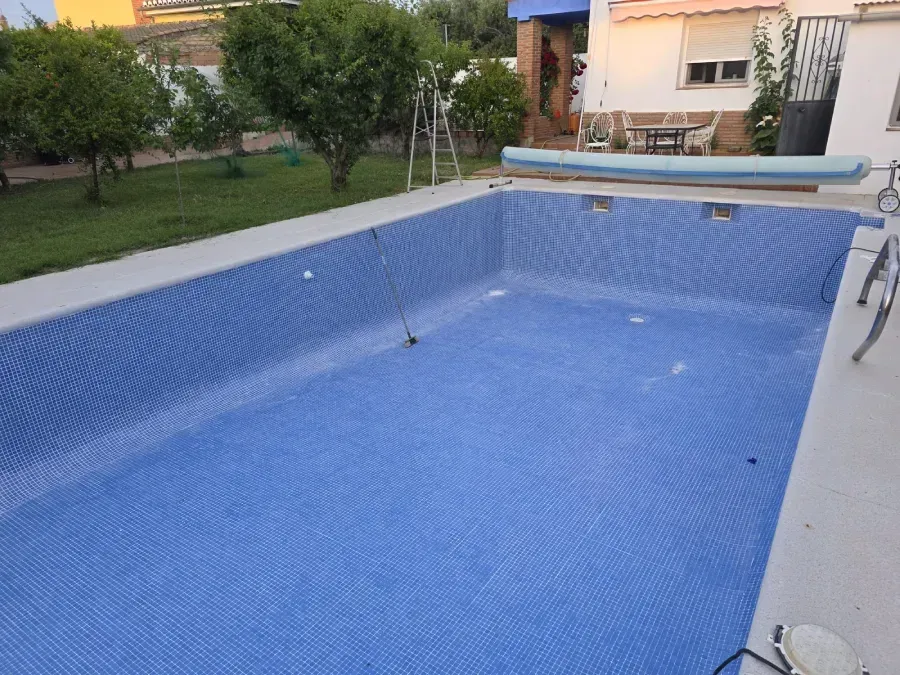 Piscina vacía de azulejos azules en un patio trasero, con césped y una casa al fondo