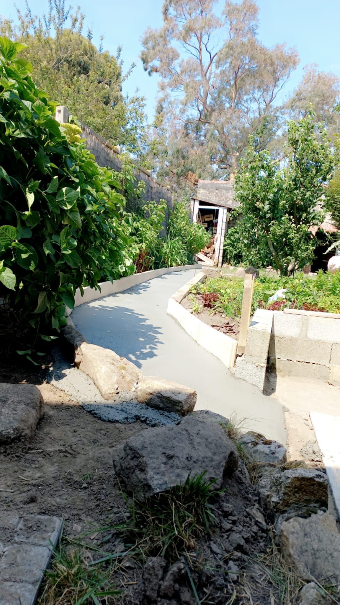 Allée dans un jardin