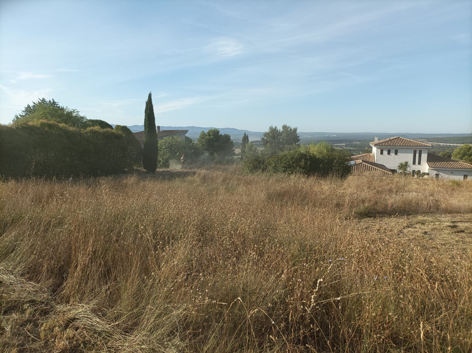 Un champ d'herbe sèche avec une maison en arrière-plan
