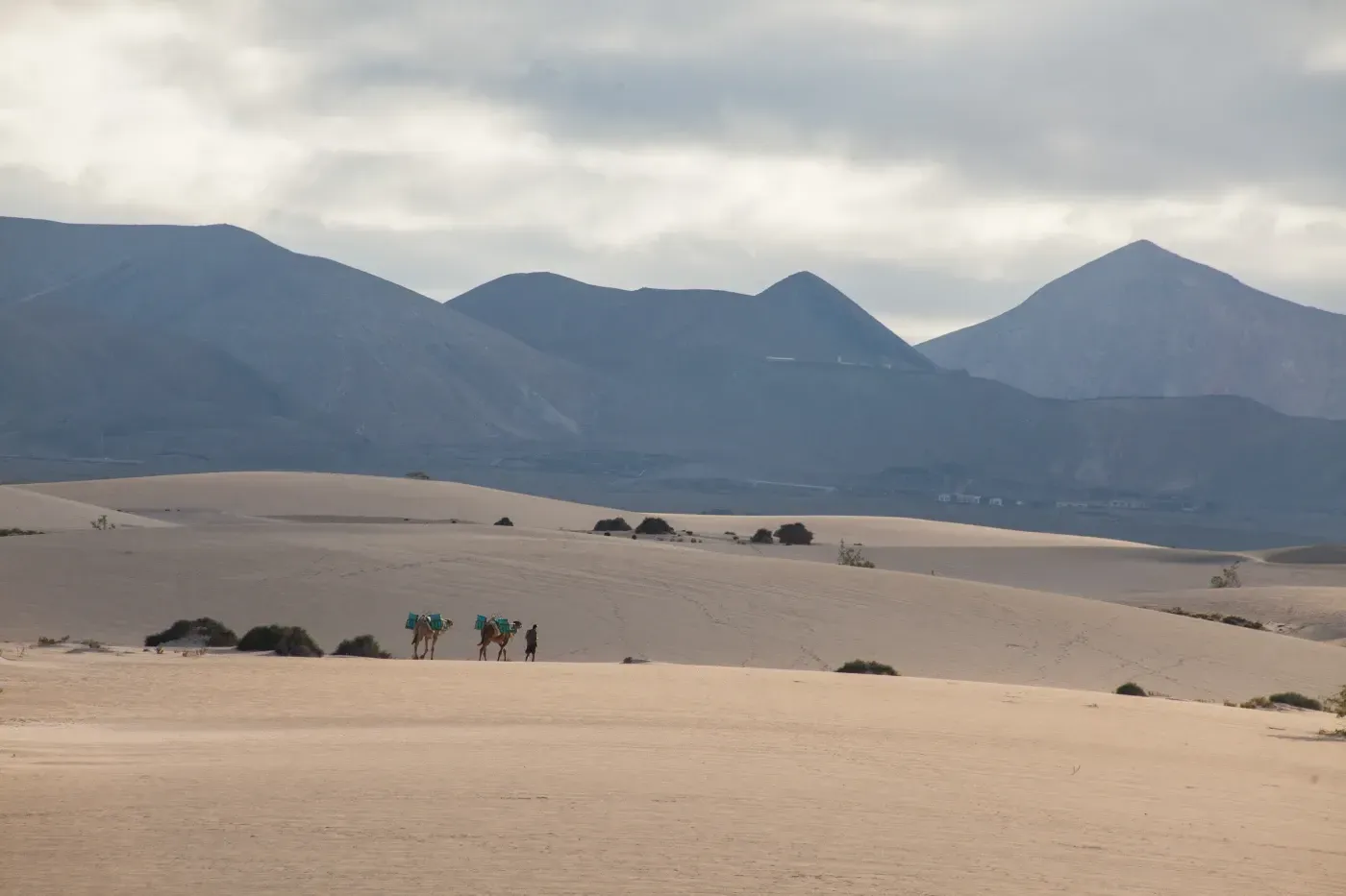 Un paisaje desértico con montañas al fondo