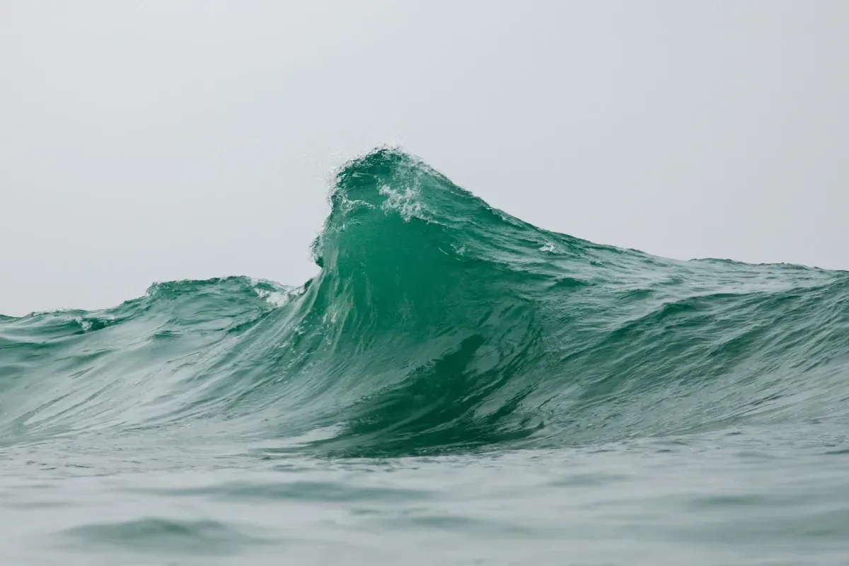 Löic Michel Fotografía acuática