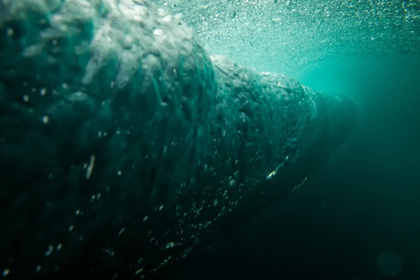 Una ola rompe en el océano y de ella salen burbujas.