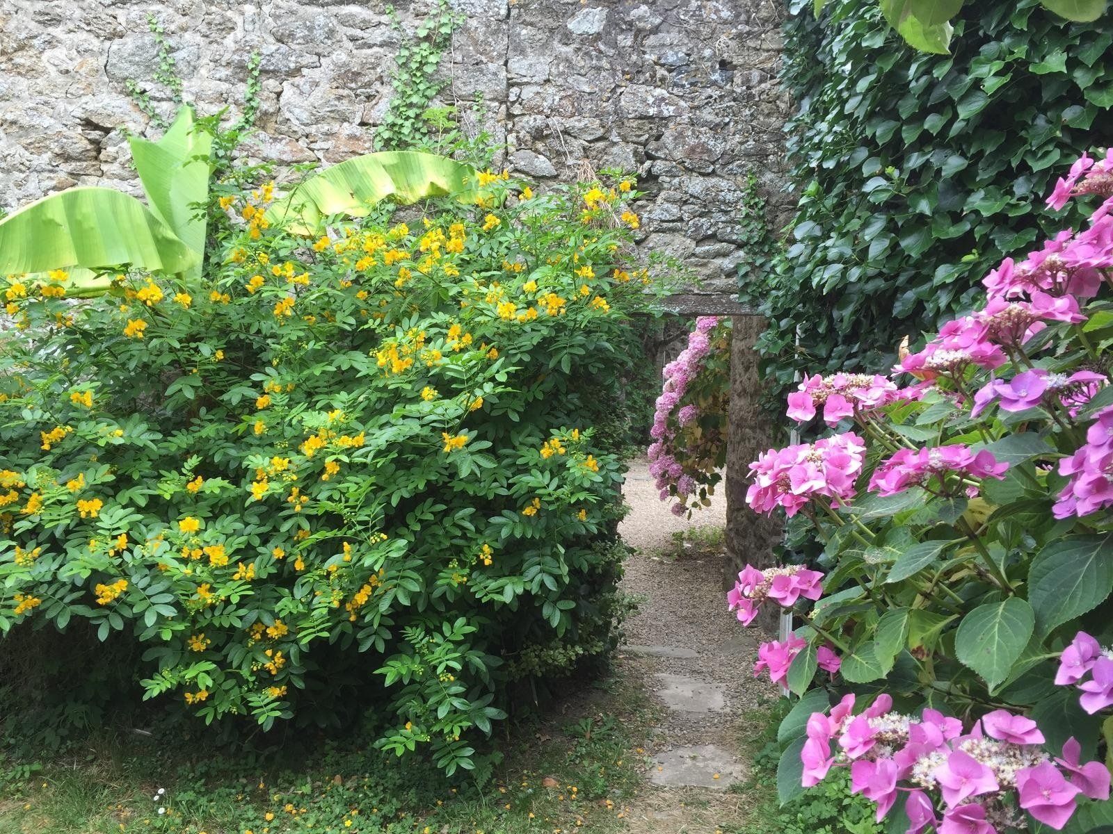 Création d'espace fleuri