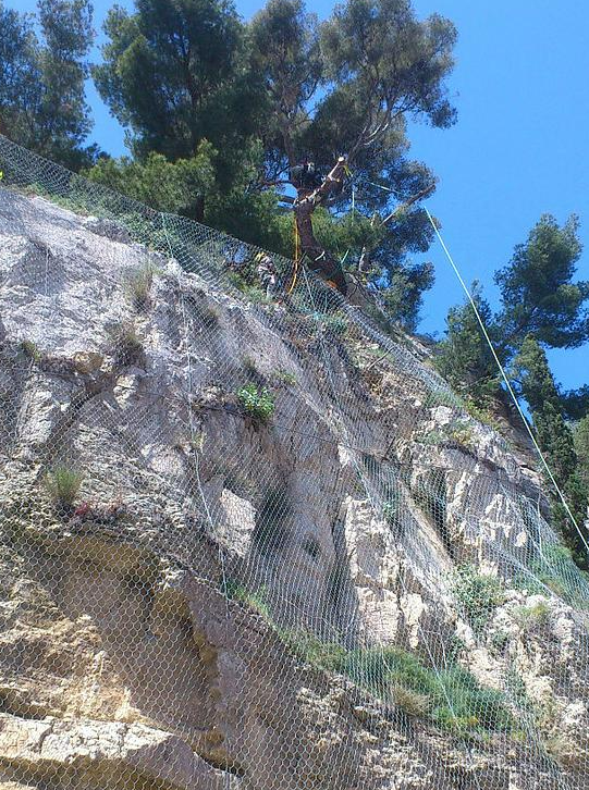 Élagage d'un pin surplombant une falaise