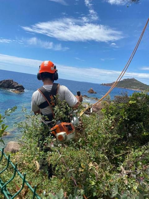 Élagueur au-dessus d'une falaise