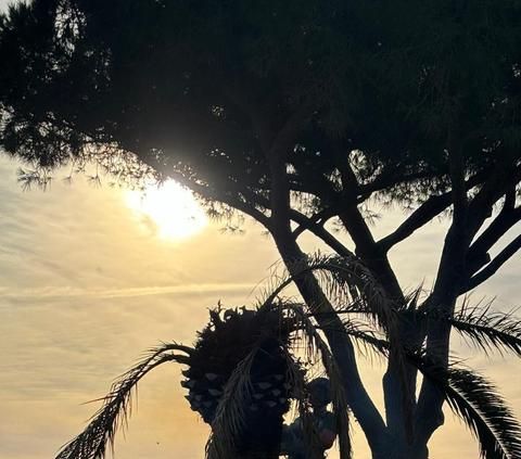 Élagueur au-dessus d'une falaise