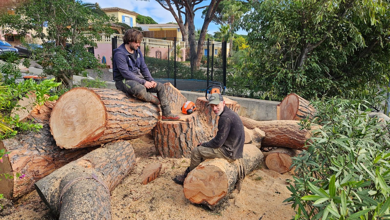 Deux professionnels sur des souches d'arbres