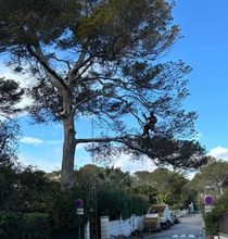 Camion-marque-Le-Forestier