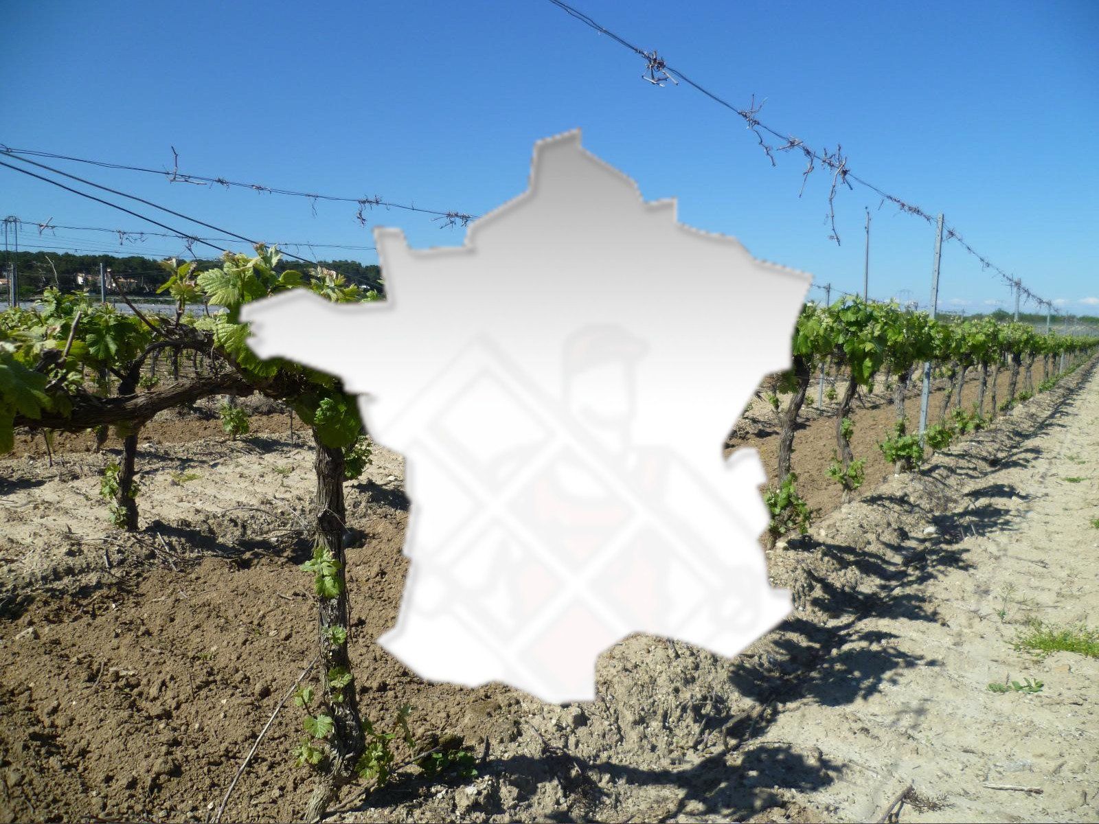 Livraison partout en France