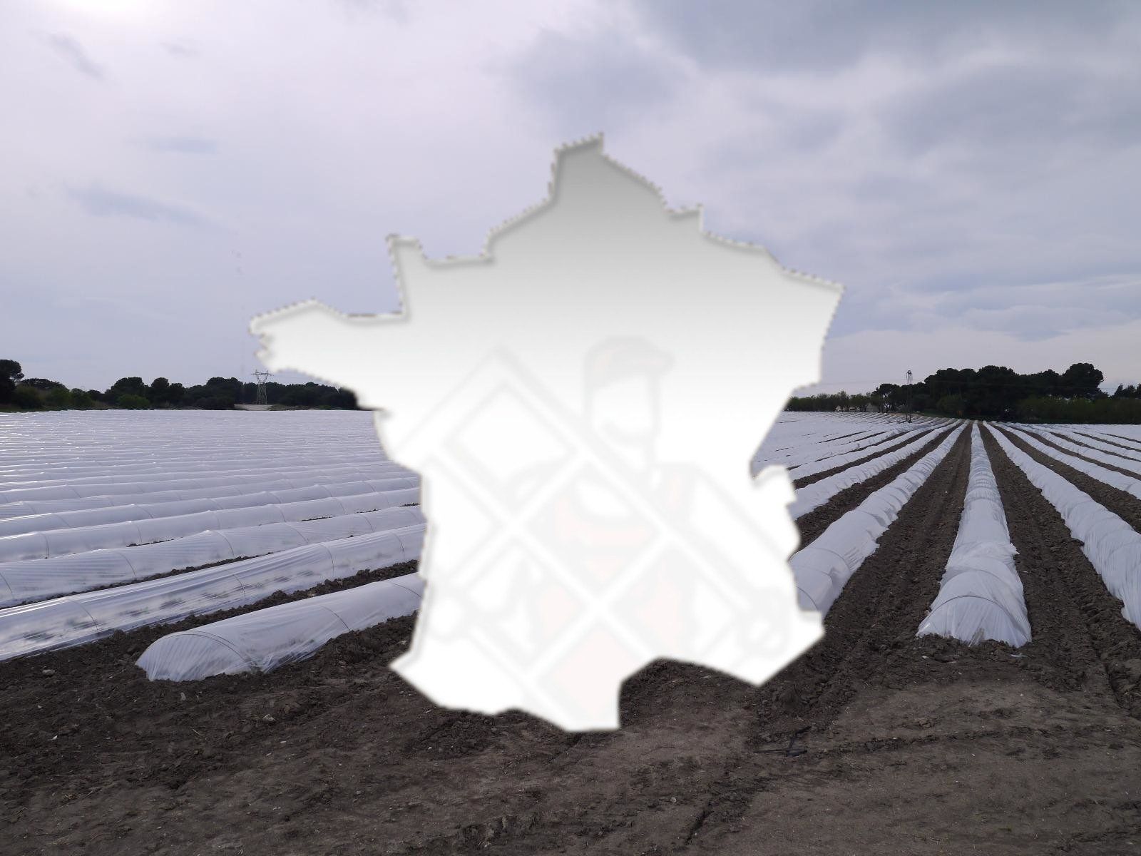 Livraison partout en France