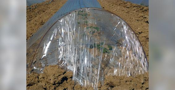 Fabrication d'arceau pour tunnel