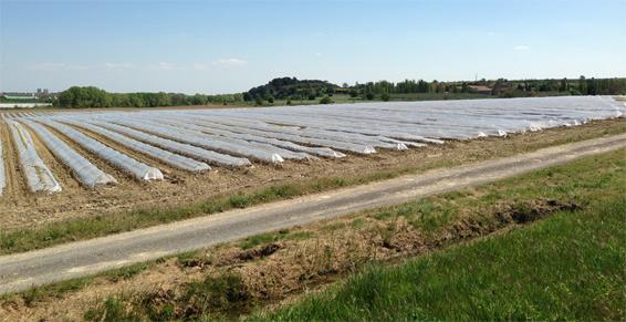 Arceau tunnel sur mesure