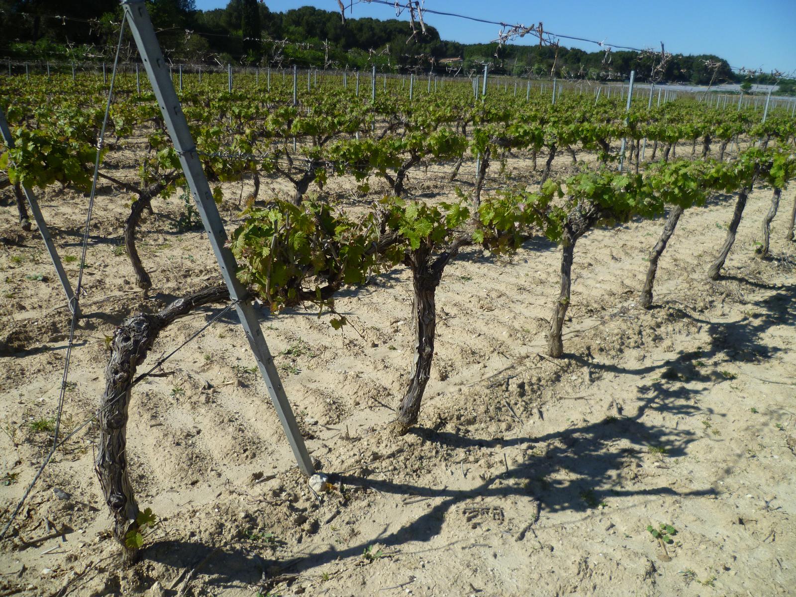 Fabrication de tuteurs fabrication sur mesure