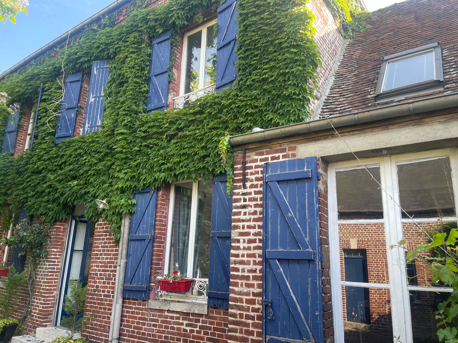 Maison aux volets bleus et recouverte de lierre