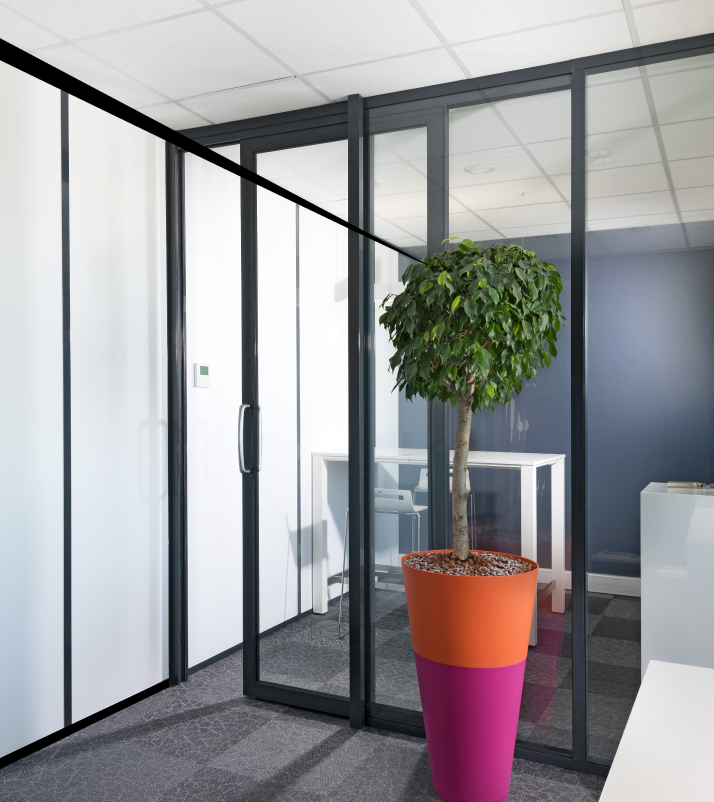 Intérieur de bureau avec une paroi vitrée. Un arbre dans un pot coloré trône à l'intérieur.