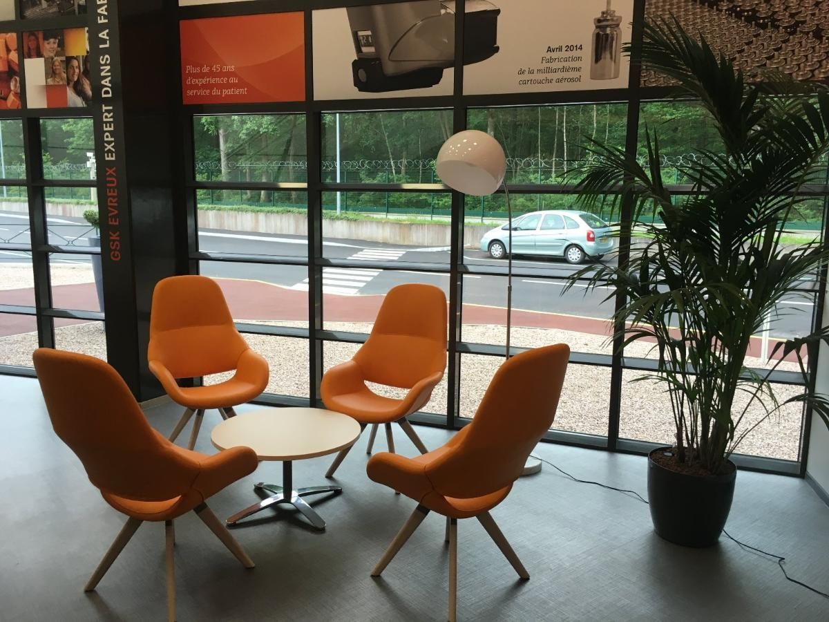 Quatre chaises orange autour d'une petite table blanche dans une salle d'attente avec une grande plante et une fenêtre.
